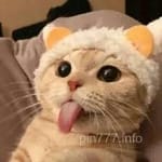 Avatar de Luis Felipe Esquivel